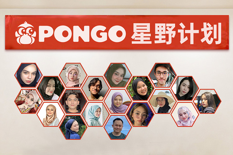 PONGO丨搭上“星野计划”的优惠末班车，一起开拓更有前景的东南亚市场