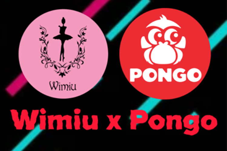 TikTok营销案例丨PONGO助力Wimiu实现2个月GMV增长48倍