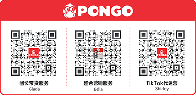 pongo lianxi 1 - 跨境电商-品牌出海-红毛猩猩PONGO